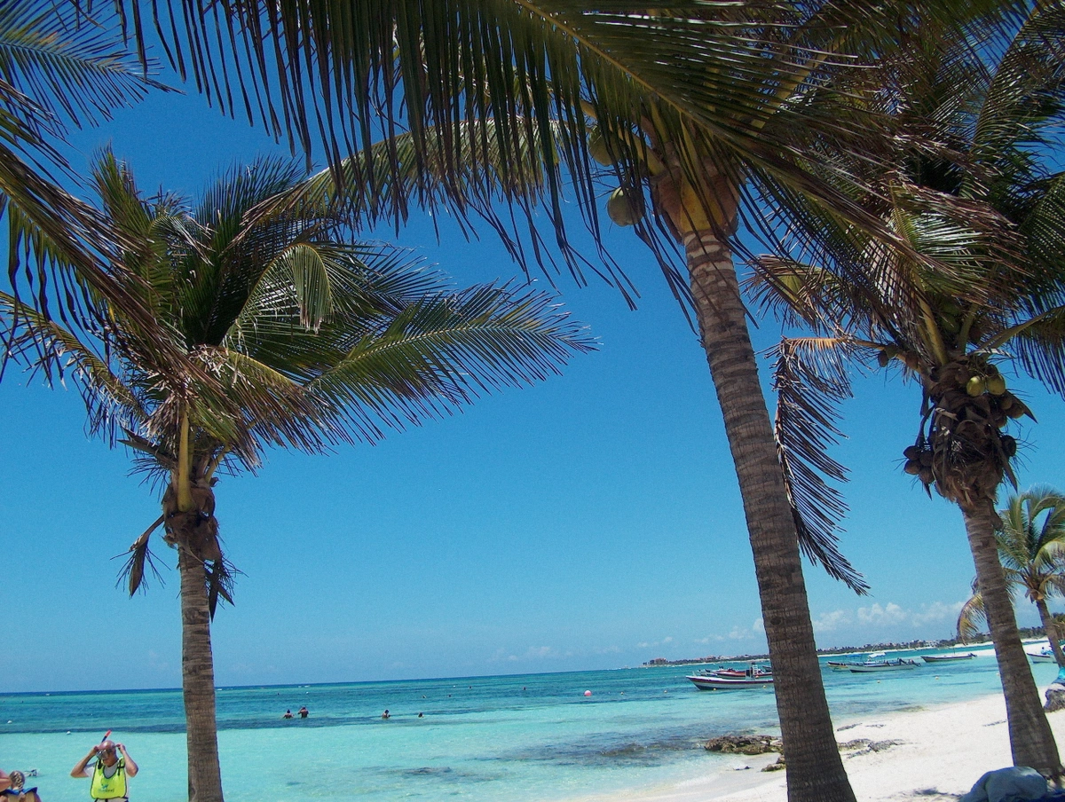 Beachfront of Akumal town, Quintana Roo, Mexico, with palms and calm Caribbean water