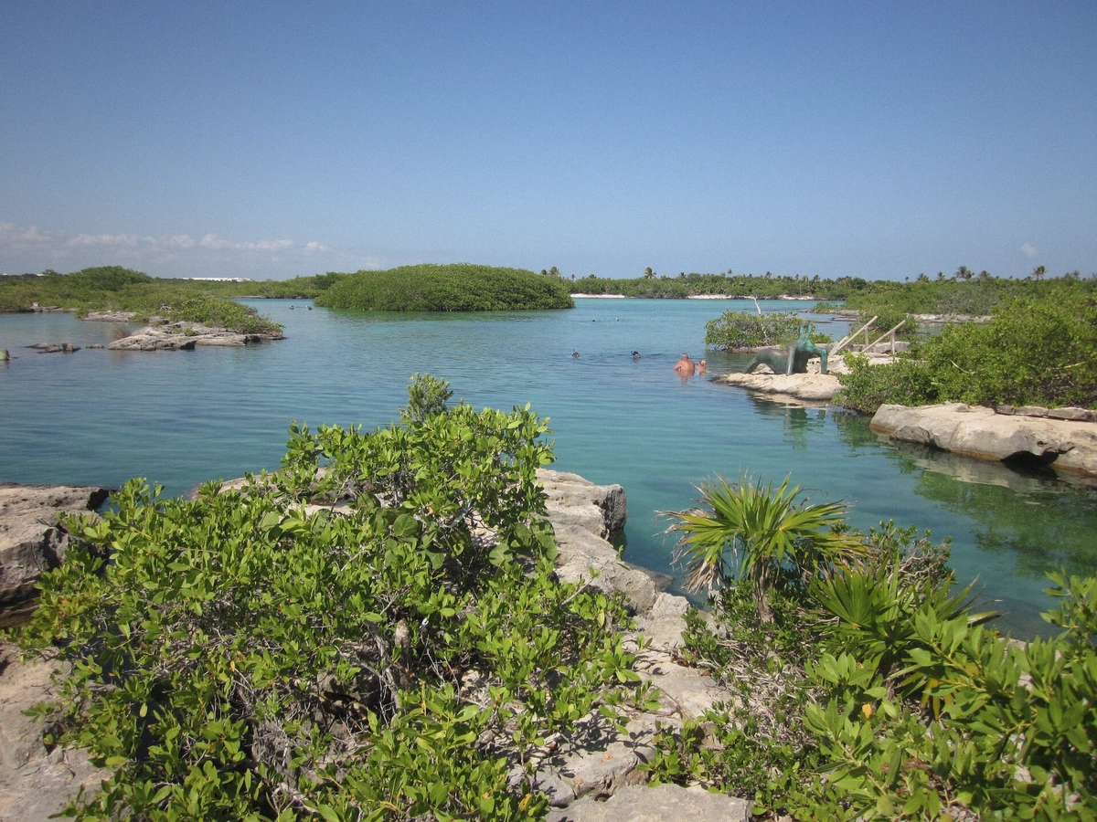 Calm green-blue water of Yal-Ku lagoon bordered by rocks and tropical vegetation in Akumal, Mexico